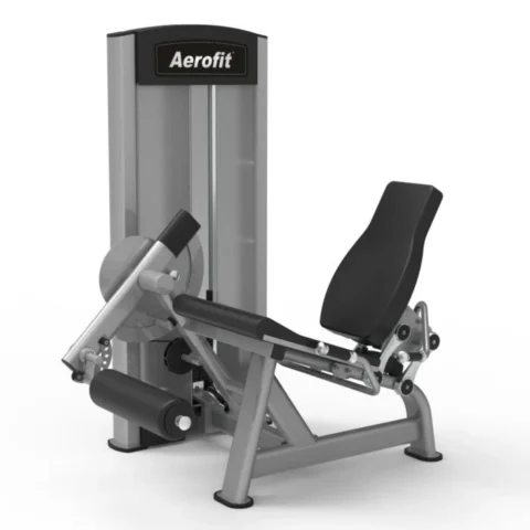 Aerofit AF-6109 Leg Extension AF-6109 (ZEAL SERIES)