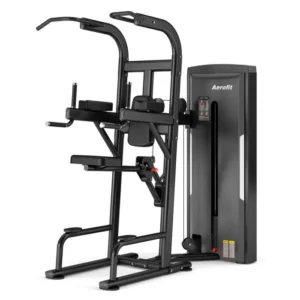 Aerofit AF-6525 Easy Chin / Dip (Hawk Series)