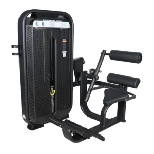 Aerofit AF-4613 Back Extension