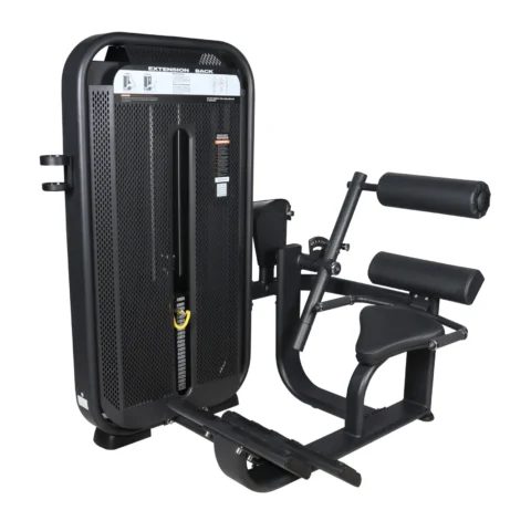 Aerofit AF-4613 Back Extension
