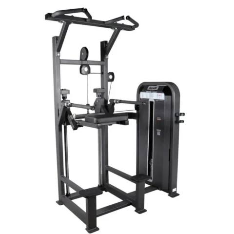 Aerofit AF-4709 Dip/Chin Assit (ARMOUR SERIES)