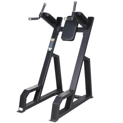 Aerofit AF-4441 Vertical Knees Up / Dip (NEO APPLE SERIES)