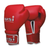 USI-612 BOXING GLOVES