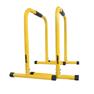 XPEED XP-2406 EQUALIZER BAR