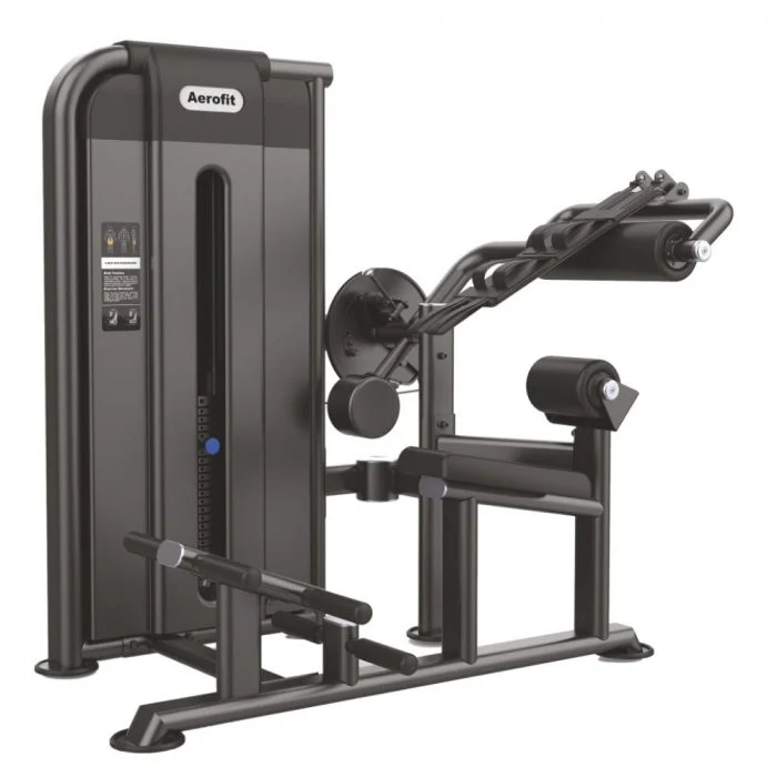 AF-4886 Abdominal & Back Extension (AERO POWER SERIES)
